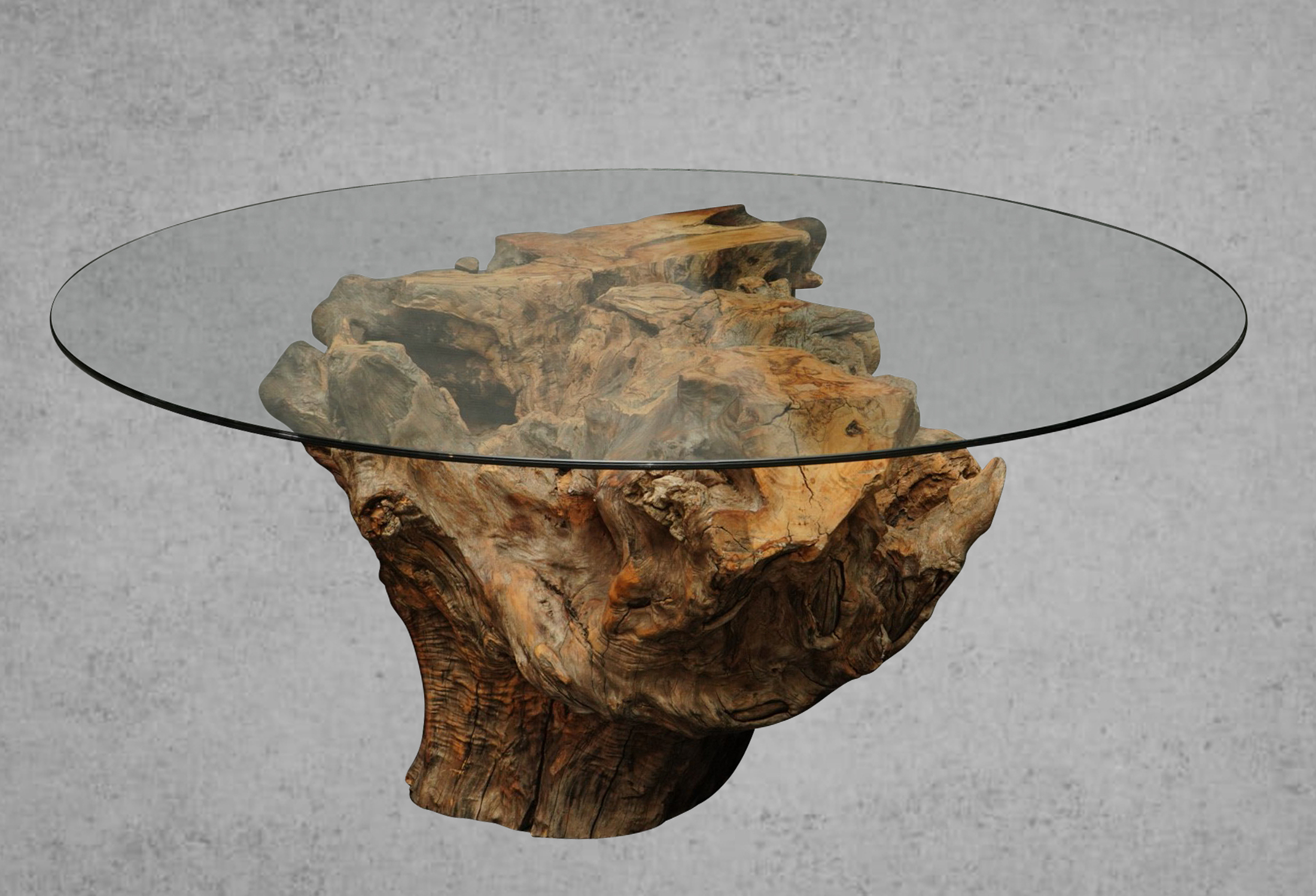 Root Coffee Table